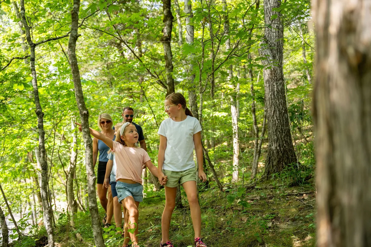 Children lead the way along a wooded trail, with adults following behind through lush greenery. The group appears mid-hike, immersed in nature and adventure, with a sense of movement and exploration.