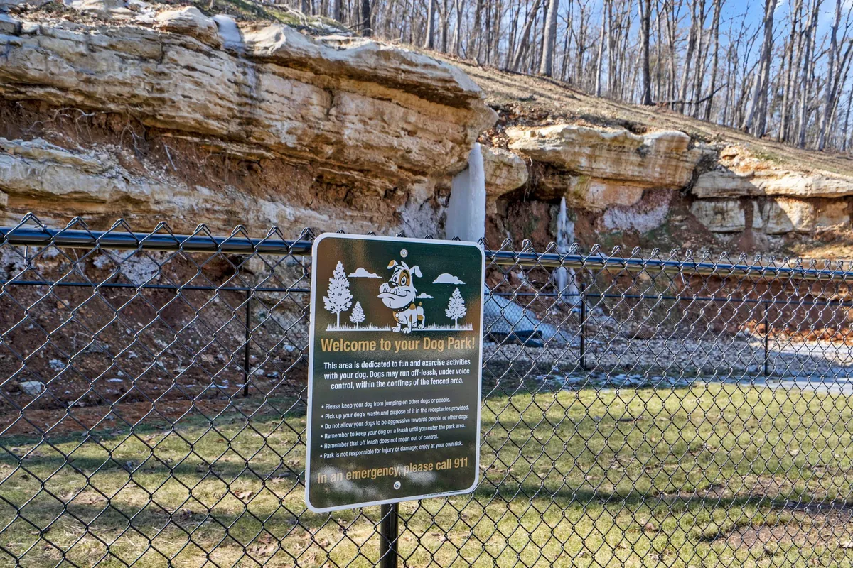 A playful outdoor scene featuring a dog park sign, natural rock formations, and a fenced area where dogs are actively playing together. Dog owners are nearby, chatting and watching their pets socialize in a safe, natural environment.